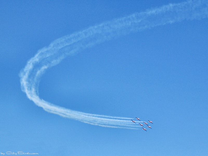 Patriots Flying Team
